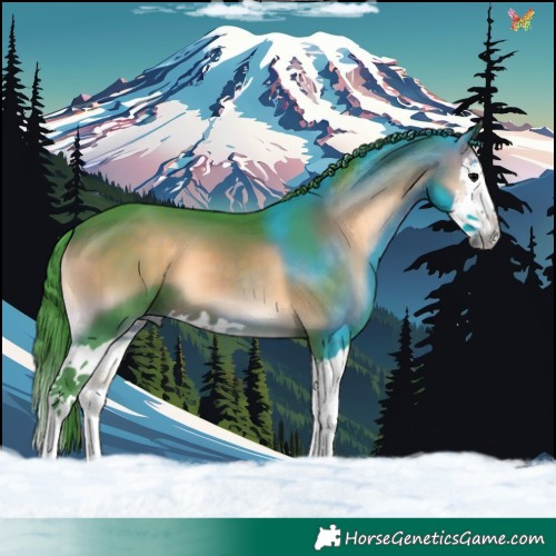 Horse Color:Watercolor Brown Onyx Splash 