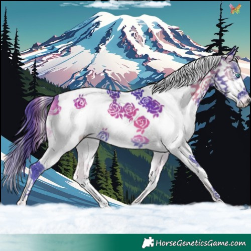 Horse Color:Watercolor Blue Onyx Splash Tobiano 