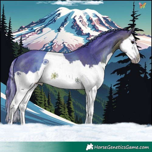 Horse Color:Watercolor Brown Splash 