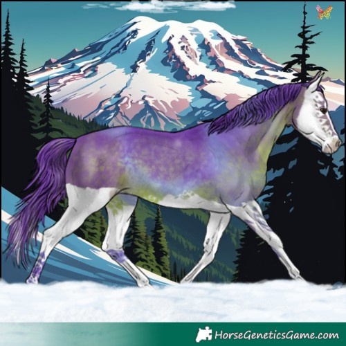 Horse Color:Watercolor Brown Splash 