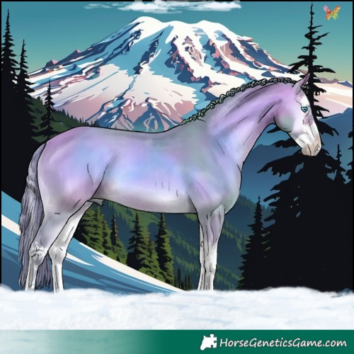 Horse Color:Watercolor Buckskin Onyx Splash