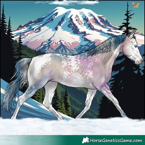 Horse Color:Watercolor Buckskin Onyx Splash Tobiano 