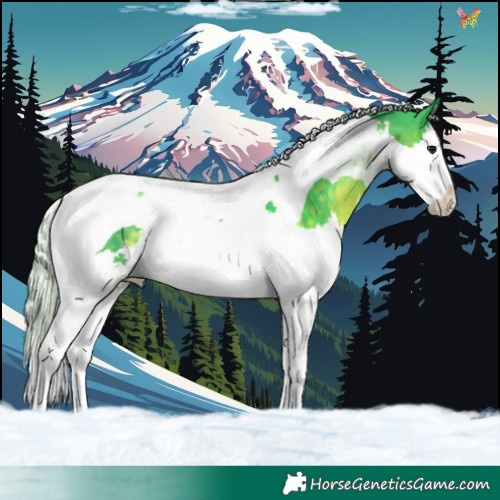 Horse Color:Watercolor Silver Smoky Black Splash Tobiano 