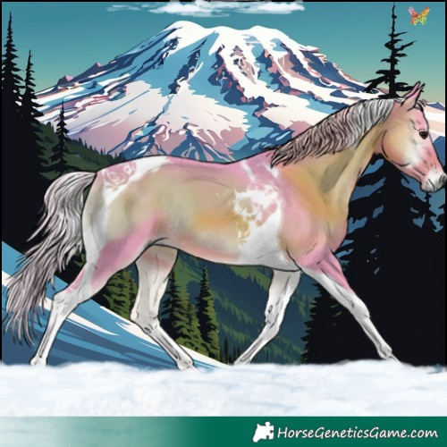 Horse Color:Watercolor Silver Smoky Blue Onyx Tobiano