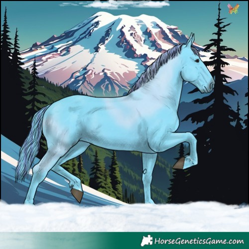 Horse Color:Painted Watercolor Smoky Black