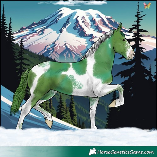 Horse Color:Watercolor Smoky Black Tobiano 
