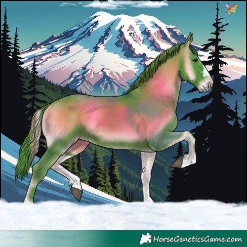 Horse Color:Watercolor Smoky Blue Onyx 