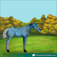 Horse Color:ERROR: UNKNOWN ANOMALY