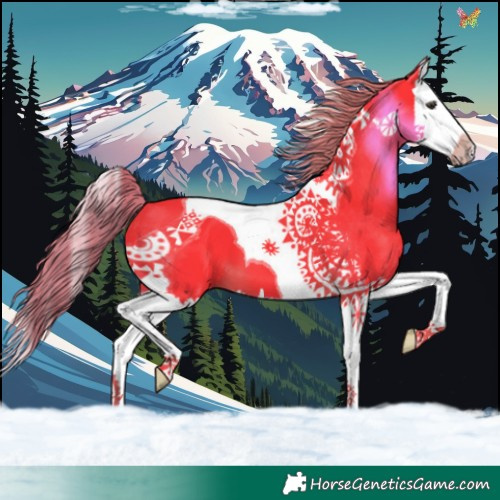 Horse Color:Watercolor Liver Chestnut Splash Tobiano 