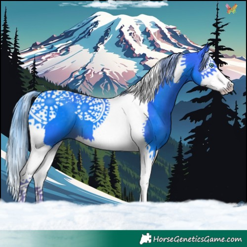 Horse Color:Watercolor Liver Chestnut Splash Tobiano 