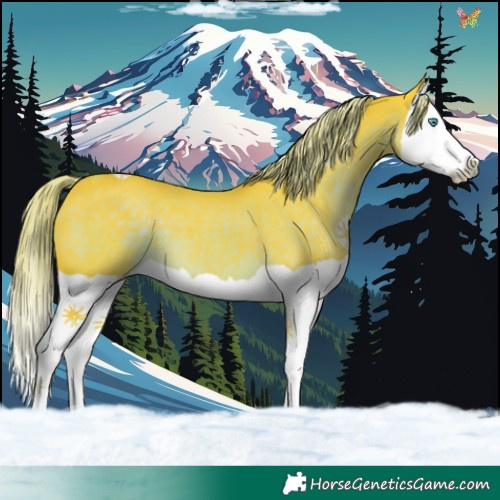Horse Color:Watercolor Liver Chestnut Splash 