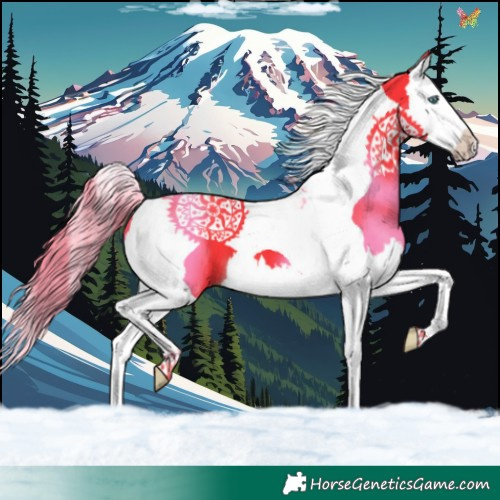 Horse Color:Watercolor Liver Chestnut Splash Tobiano 