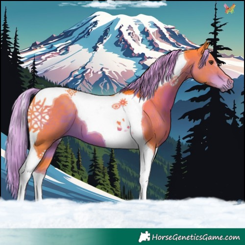 Horse Color:Watercolor Liver Chestnut Tobiano 