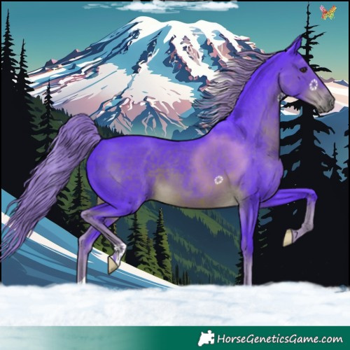 Horse Color:Watercolor Liver Chestnut 
