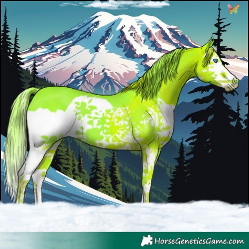 Horse Color:Watercolor Liver Chestnut Splash 
