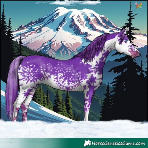 Horse Color:Watercolor Liver Chestnut Splash 
