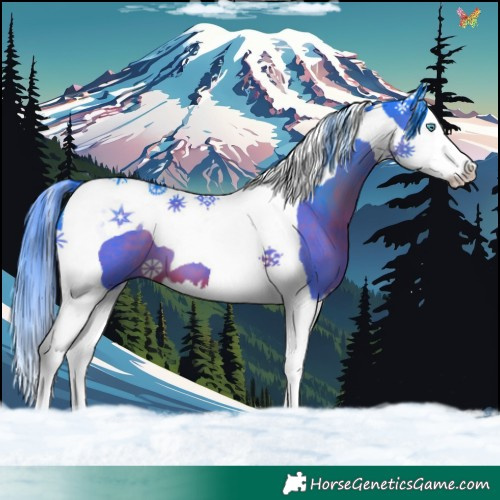 Horse Color:Watercolor Liver Chestnut Splash Tobiano