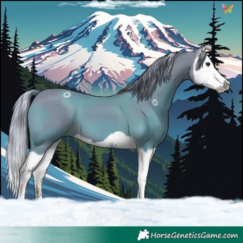 Horse Color:Watercolor Liver Chestnut Splash 
