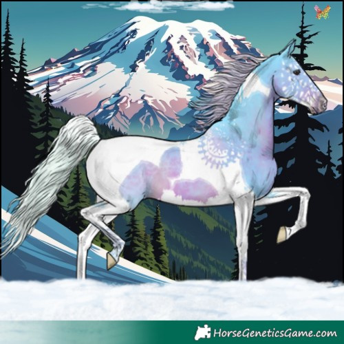 Horse Color:Watercolor Liver Chestnut Splash Tobiano
