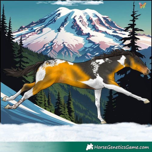 Horse Color:Liver Chestnut Tobiano