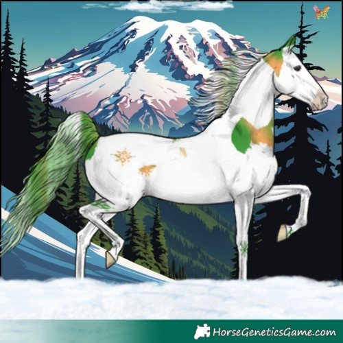 Horse Color:Watercolor Liver Chestnut Splash Tobiano
