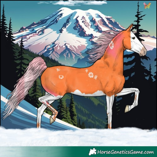 Horse Color:Watercolor Liver Chestnut Splash 
