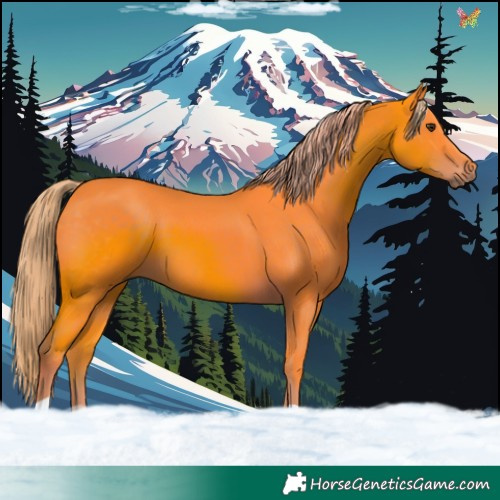 Horse Color:Watercolor Liver Chestnut 