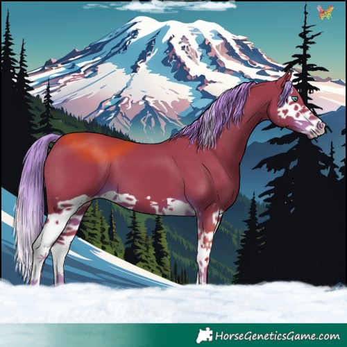 Horse Color:Watercolor Liver Chestnut Splash