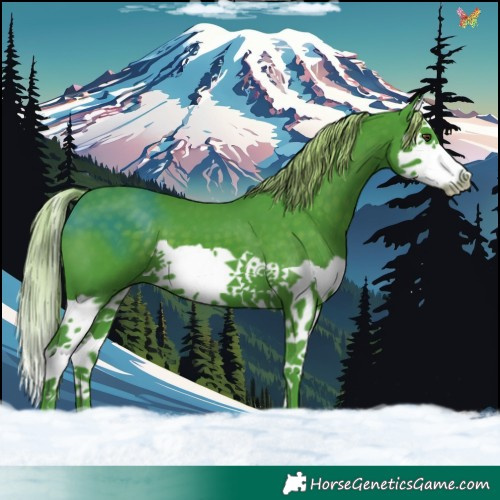 Horse Color:Watercolor Liver Chestnut Splash 