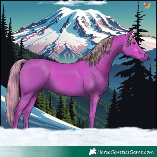 Horse Color:Watercolor Liver Chestnut 