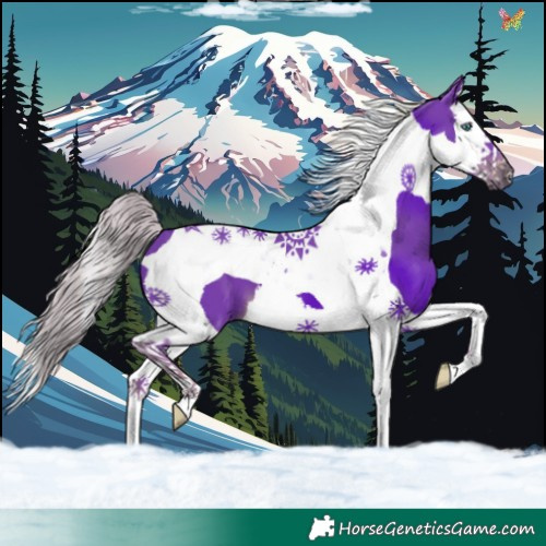 Horse Color:Watercolor Liver Chestnut Splash Tobiano 