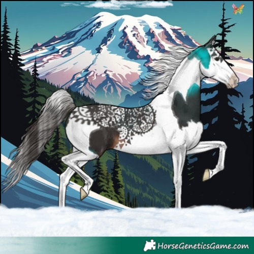 Horse Color:Liver Chestnut Splash Tobiano