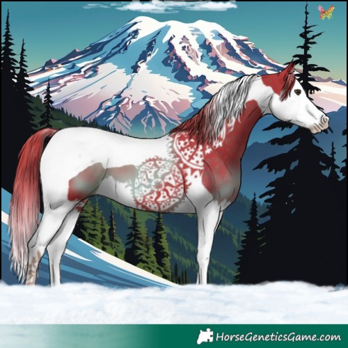 Horse Color:Watercolor Liver Chestnut Splash Tobiano