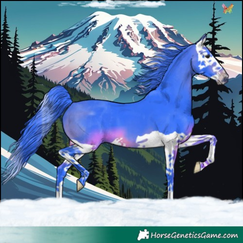 Horse Color:Watercolor Brown Splash