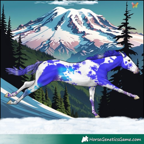 Horse Color:Watercolor Liver Chestnut Splash Tobiano