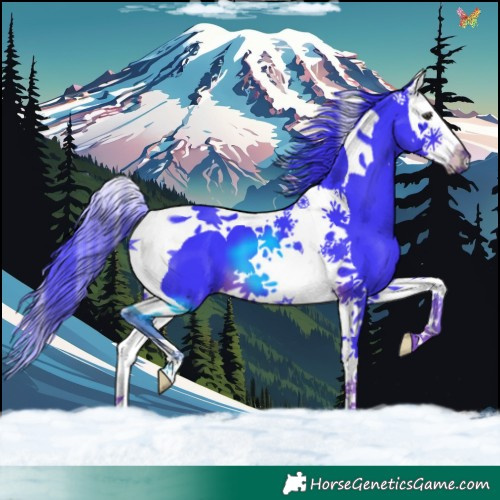 Horse Color:Watercolor Liver Chestnut Splash Tobiano 
