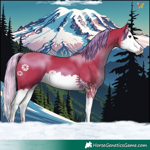 Horse Color:Watercolor Liver Chestnut Splash