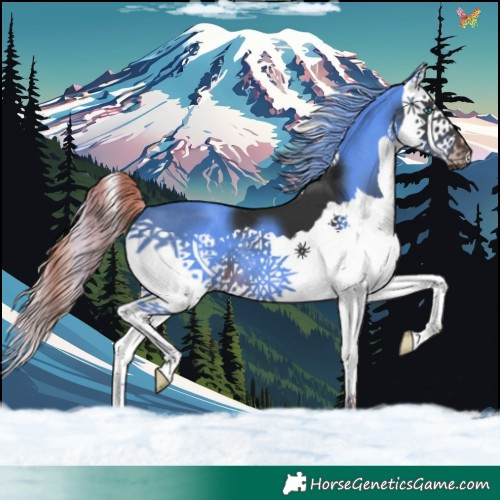 Horse Color:Liver Chestnut Splash