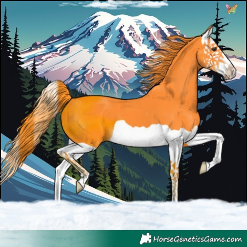 Horse Color:Watercolor Liver Chestnut Splash 