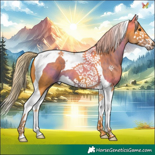 Horse Color:Watercolor Liver Chestnut Splash Tobiano 