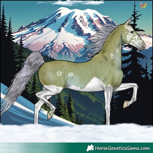 Horse Color:Watercolor Liver Chestnut Splash 