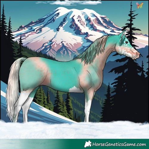 Horse Color:Watercolor Liver Chestnut Splash