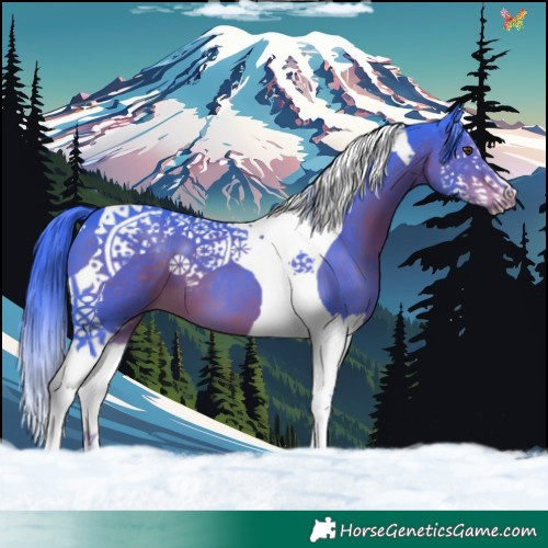 Horse Color:Watercolor Liver Chestnut Splash Tobiano