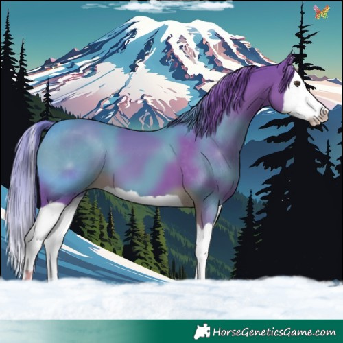 Horse Color:Watercolor Liver Chestnut Splash
