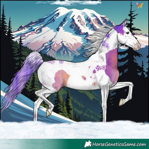 Horse Color:Watercolor Liver Chestnut Splash Tobiano 