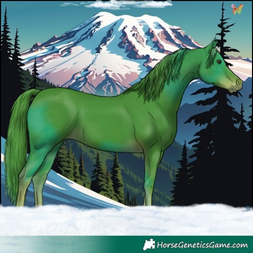 Horse Color:Watercolor Liver Chestnut 