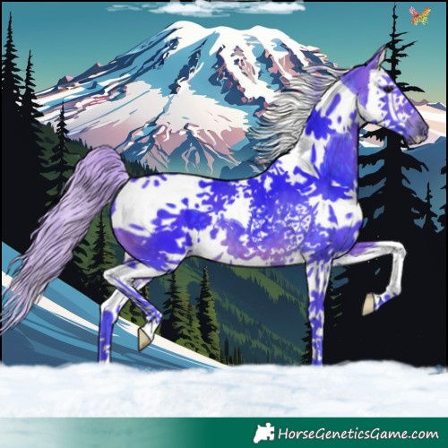 Horse Color:Watercolor Silver Brown Splash Tobiano 