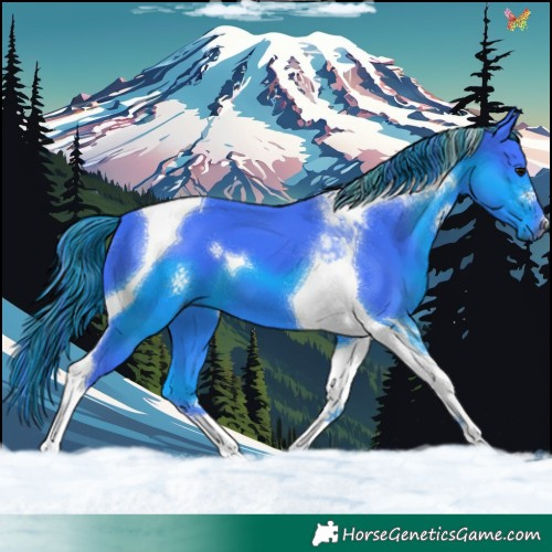 Horse Color:Painted Watercolor Black Tobiano 