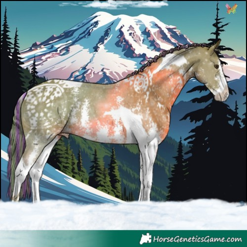 Horse Color:Painted Watercolor Chestnut Sabino Tobiano