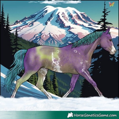 Horse Color:Painted Watercolor Liver Chestnut Sabino 
